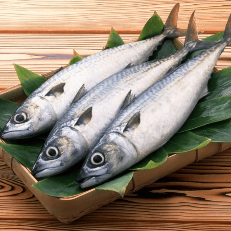 Nên cẩn trọng trước những thực phẩm cá tươi mang nhiều thủy ngân