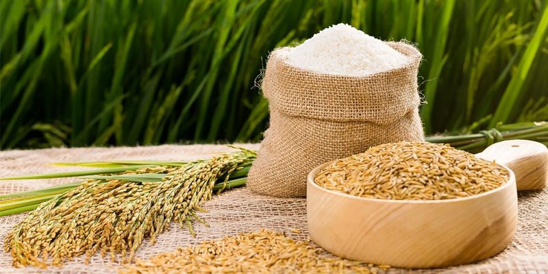 Xuất khẩu gạo Việt Nam có tín hiệu tốt, giá gạo tăng trong 3 tuần qua