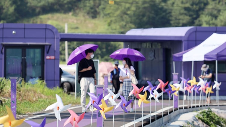 Hòn đảo tím lịm hút khách du lịch ở Hàn Quốc đang “sốt sình sịch”